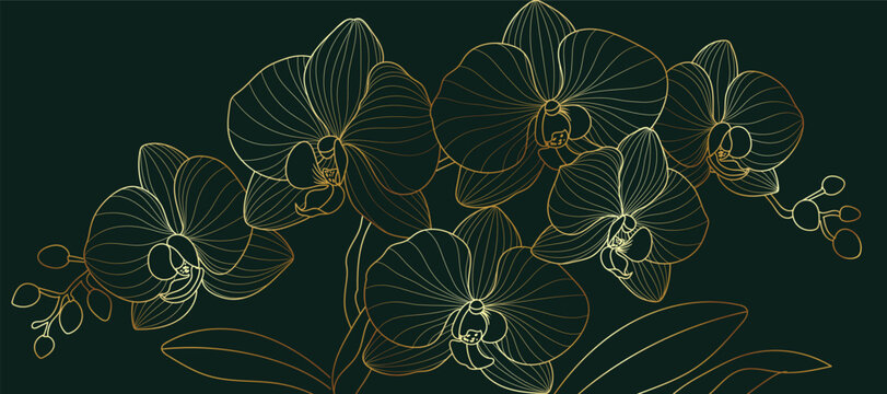 Luxury golden Orchid flower line art background vector. Natural botanical elegant flower with gold line art. Design illustration for decoration, wall decor, wallpaper, cover, banner, poster, card.