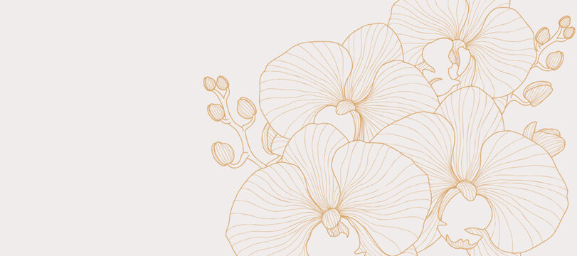 Luxury golden Orchid flower line art background vector. Natural botanical elegant flower with gold line art. Design illustration for decoration, wall decor, wallpaper, cover, banner, poster, card.