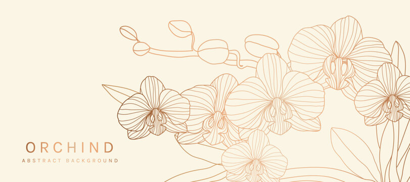 Luxury golden Orchid flower line art background vector. Natural botanical elegant flower with gold line art. Design illustration for decoration, wall decor, wallpaper, cover, banner, poster, card.