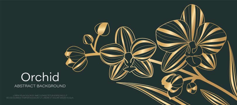 Luxury golden Orchid flower line art background vector. Natural botanical elegant flower with gold line art. Design illustration for decoration, wall decor, wallpaper, cover, banner, poster, card.