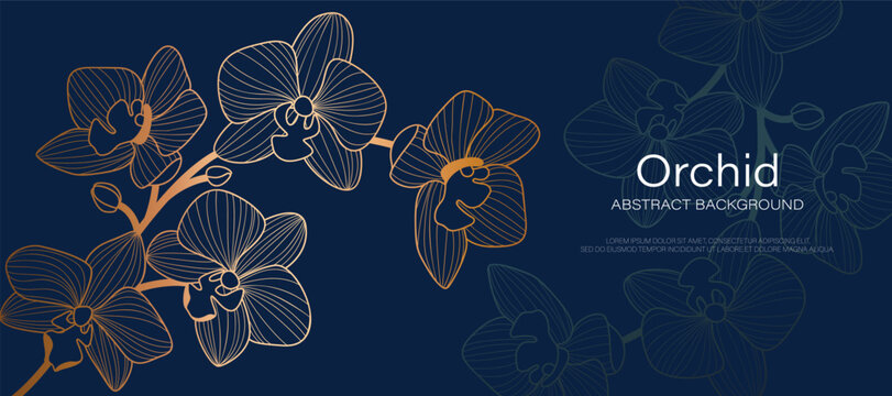 Luxury golden Orchid flower line art background vector. Natural botanical elegant flower with gold line art. Design illustration for decoration, wall decor, wallpaper, cover, banner, poster, card.