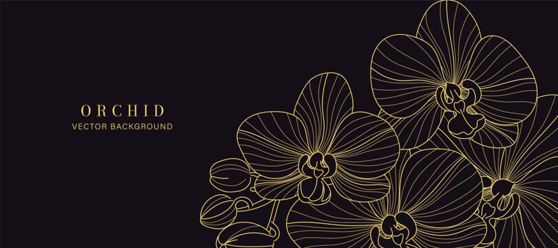 Luxury golden Orchid flower line art background vector. Natural botanical elegant flower with gold line art. Design illustration for decoration, wall decor, wallpaper, cover, banner, poster, card.