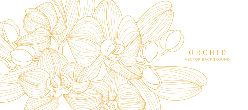 Luxury golden Orchid flower line art background vector. Natural botanical elegant flower with gold line art. Design illustration for decoration, wall decor, wallpaper, cover, banner, poster, card.