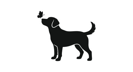Dog And Butterfly Silhouette Against White Background © Sogir