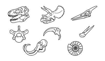 Prehistoric Dinosaur Fossil Skulls and Ancient Animal Skeletons Line Art Icon Set with Tyrannosaurus Triceratops Pterodactyl and Ammonite for Paleontology Graphic Designs © MdRabbi