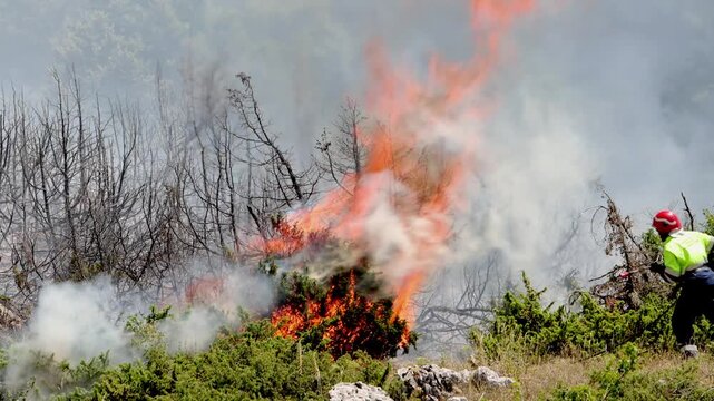 A firefighter spraying water on flames that have just erupted during a forest fire. Summer. Rocca di Mezzo. Abruzzo region. Italy. July 2026