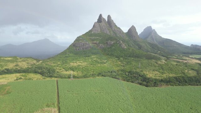 Aerial drone recording of Montagne du Rempart rising above the lush green sugarcane fields near Flic en Flac in Mauritius during daytime
