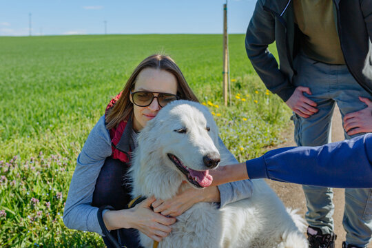 Woman Hugging Large White Maremma Sheepdog While Friends Pet the Dog in a Country Road