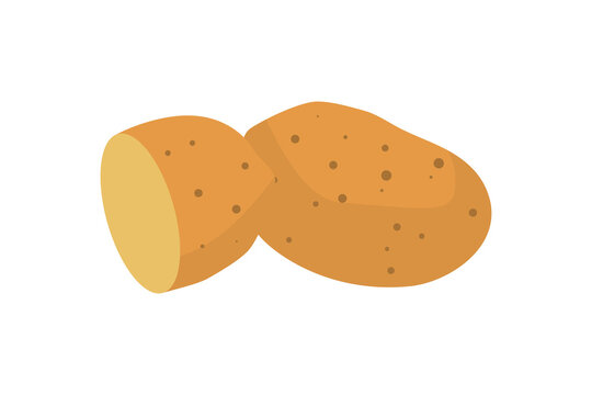 Sliced Brown Potato Tuber Flat Illustration Isolated