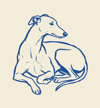 Vintage greyhound dog vector illustration, elegant blue line art of a resting whippet, minimalist sighthound sketch for pet branding and logo design