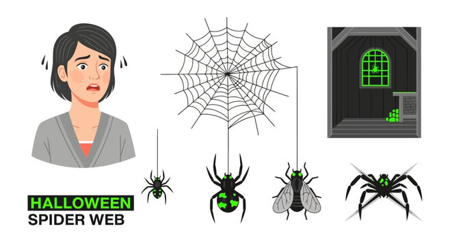 Illustrations featuring a concerned woman a spider web spiders a fly and a dark interior with a green window