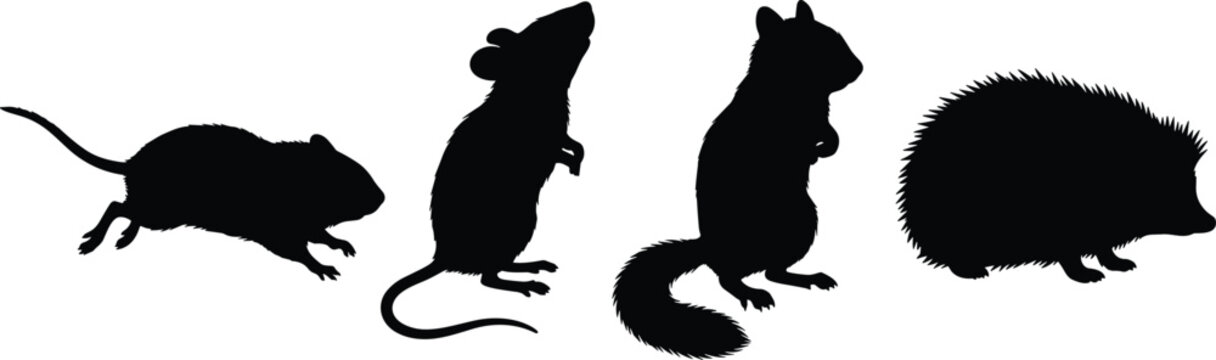 Set of black silhouettes of small rodents and mammals including mouse and hedgehog