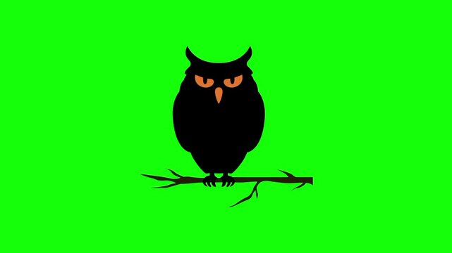 Halloween owl, trick or treat icon sign, isolated on green screen. Vector cartoon animation. Advertisement, illustration idea, party and celebration symbol. Element for video