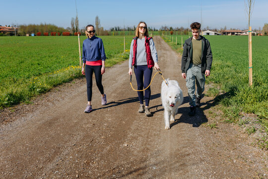 Group of Friends Walking Maremma Sheepdog Along Rural Dirt Road on Sunny Day