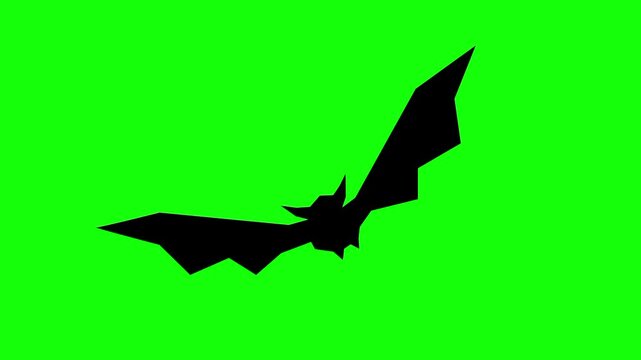 Halloween bat silhouette, spooky icon sign, isolated on green screen. Animated bats scary and cute cartoon. Advertisement, illustration idea, party and celebration symbol. Element for video.