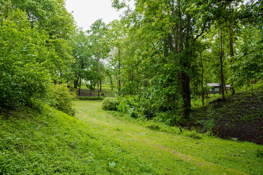 road in the forest.Beautiful nature trail