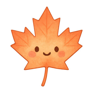 PNG Cute smiling maple leaf illustration.