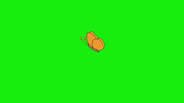 Yellow butterfly or moth flying green screen chromakey background 2d animated cartoon animation scene element clip visual frame sequence theme scene element clip