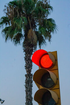 Barcelona, Spain &ndash; July 29, 2026: Red traffic light illuminated against palm tree and evening sky