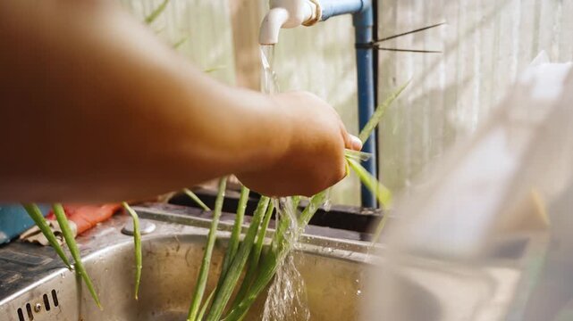 Hands Washing Spring Onions