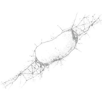 Abstract plexus network connection structure on black background