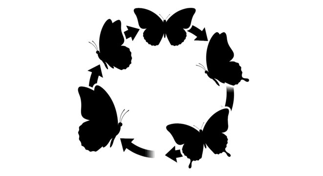 Black butterflies in a circular formation.