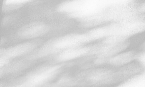 Minimal white stucco wall with soft tree leaf shadows in natural sunlight. Clean abstract background with copy space for branding, design, presentations and mockups.