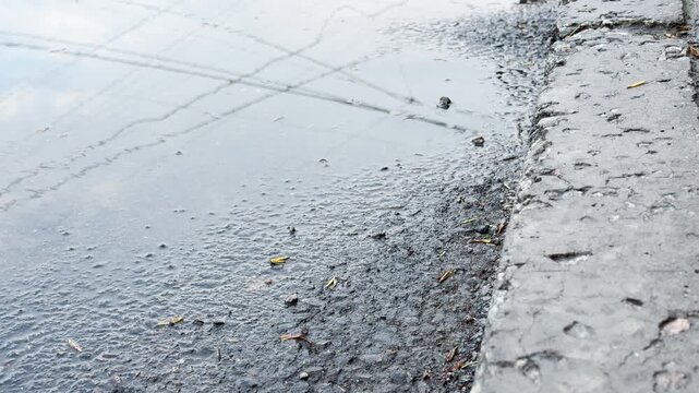A still puddle mirrors the cloudy sky and overhead wires on a dark, wet street. The gloomy water pools against a rough concrete curb, leaving a melancholic and quiet mood.
