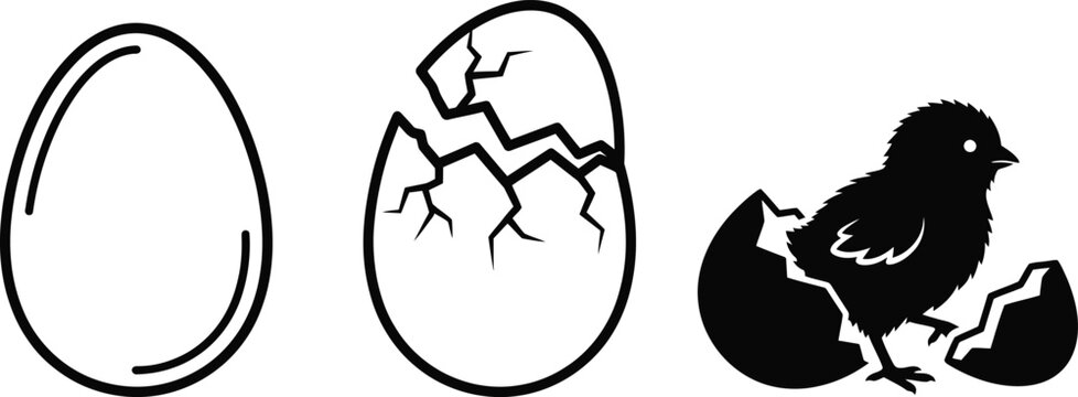 minimalist black bird and cracked egg vector illustration