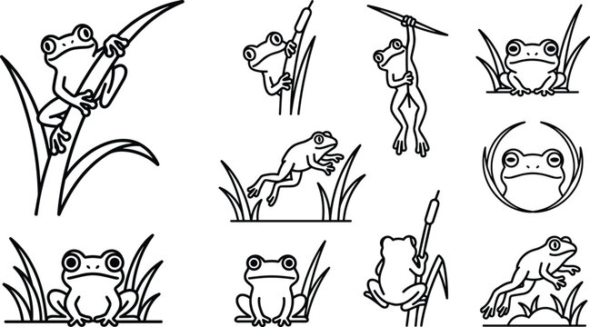 Cute Frog Line Art Vector Icon Set Featuring Amphibians Jumping, Climbing Grass, Sitting in Swamp, and Frog Face Logo Outlines