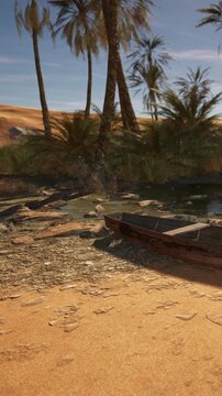 A boat is positioned on a sandy shore next to water. Palm trees and tall grass are nearby. The setting shows a desert landscape with warm colors under clear skies.