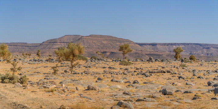 Adrar Plateau in Mauritania, West Africa during the hot summer day.
