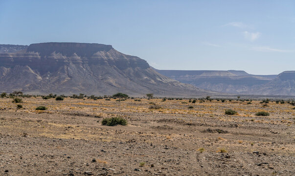 Adrar Plateau in Mauritania, West Africa during the hot summer day.
