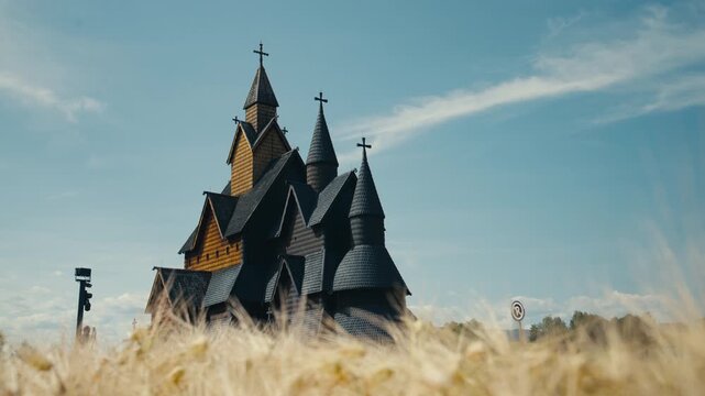 Heddal Stave Church rises above tall golden grass under a bright summer sky in Telemark, Norway. The low-angle composition highlights the distinctive timber construction and iconic medieval silhouette