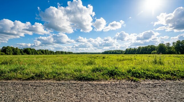 Landscape view of green grass, trees, and a blue sky from the road edge.