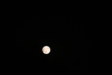 moon in the night sky, Bright full moon shining in a clear night sky. © Petra