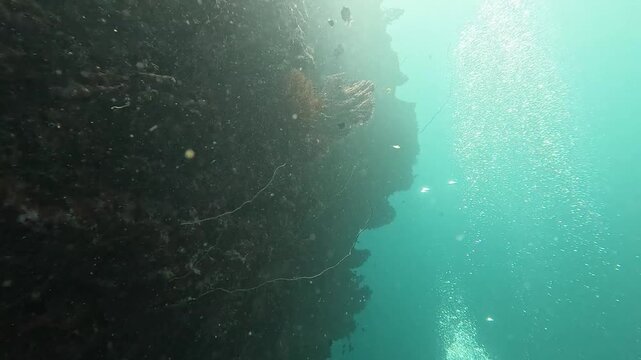 Scuba diving in Fiji along steep wall of hard and soft corals with tropical fish and rising bubbles at Leleuvia on Viti Levu, Fiji, South Pacific