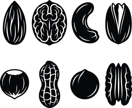 Nuts Seeds Organic Vector Silhouette