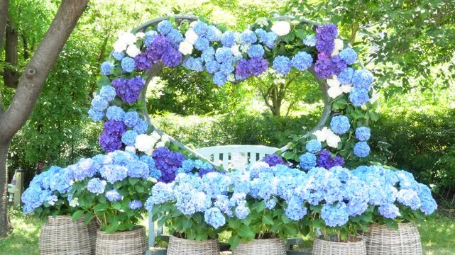 シンボルプロムナード公園の美しい青いハート型紫陽花オブジェと白いベンチ
