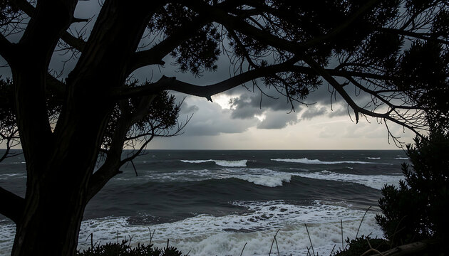 Dramatic stormy ocean with crashing waves framed by dark tree branches
