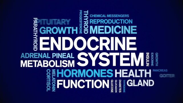 Endocrine System animated word cloud-animation tag kinetic typography seamless loop.