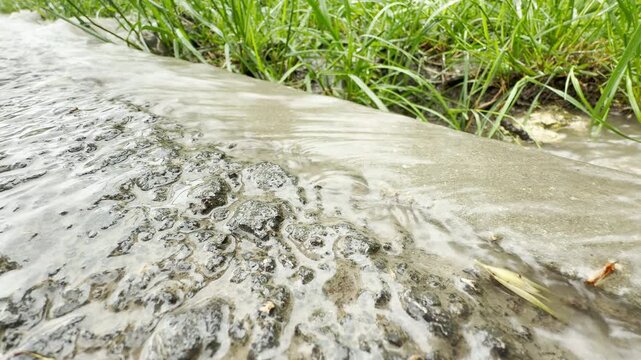 muddy rainwater rushes over a rough asphalt road and concrete curb. The moving current sweeps past the edge toward a grassy area. This swift action creates a constant sloshing and rushing sound.