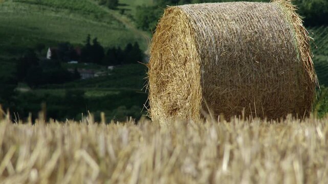 4K Hay Bale in Summer 2 heat mirage