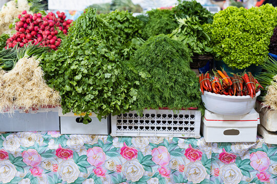 Fresh herbs and vegetables displayed at a traditional bazaar in Bukhara, Uzbekistan. Bunches of cilantro, dill, parsley, radishes, and chili peppers create a vibrant market scene ideal for food.
