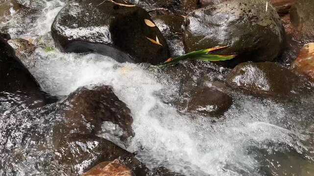 Clear tropical stream flowing over rocks in lush forest 38