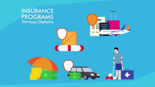 Insurance Programs and Policy Options cartoon animation