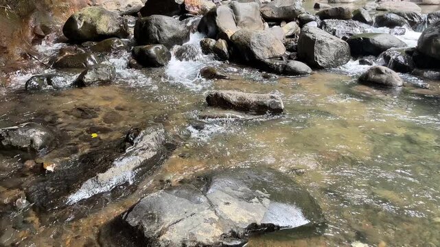 Clear tropical stream flowing over rocks in lush forest 47