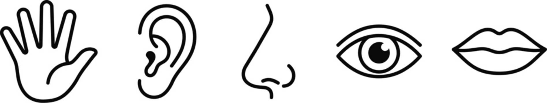 Set of five human sense organs icons including hand ear nose eye and mouth line art