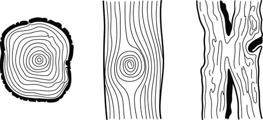 Set of Wood Texture Line Art Illustrations Showing Tree Rings and Bark Patterns © KailashChandra