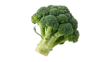 Fresh green organic broccoli floret vegetable item isolated on transparent background cut out © 1png-stock